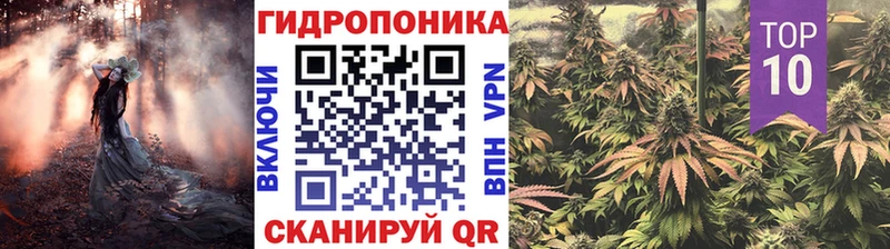 Где продают наркотики Курчалой Alpha PVP  Меф мяу мяу  MEGA ТОР  COCAIN  Марихуана  КЕТАМИН 