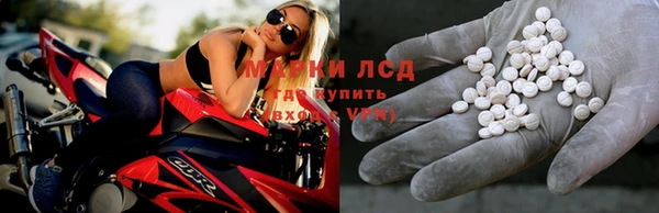 СК Алзамай