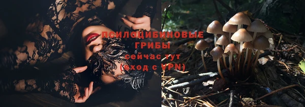 СК Алзамай