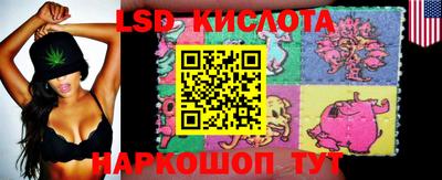 крисы Кимры