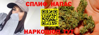 крисы Кимры