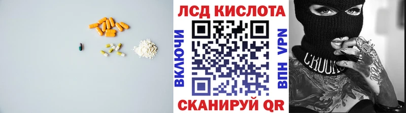 купить наркотики сайты  Курчалой  Лсд 25 экстази кислота 