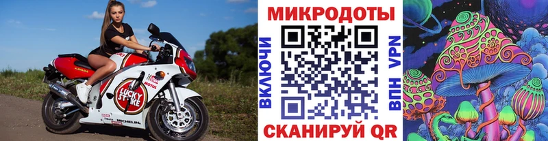 Галлюциногенные грибы мицелий магазин продажи Курчалой