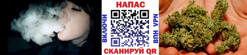 блэк спрут ССЫЛКА  Курчалой  Бошки Шишки SATIVA & INDICA 